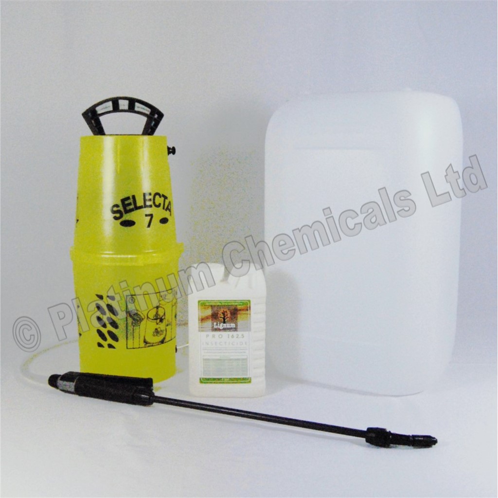 LIGNUM PRO INSECTICIDE WOODWORM KILLER TIMBER TREATMENT 1L SPRAY KIT MAKES 25L eBay