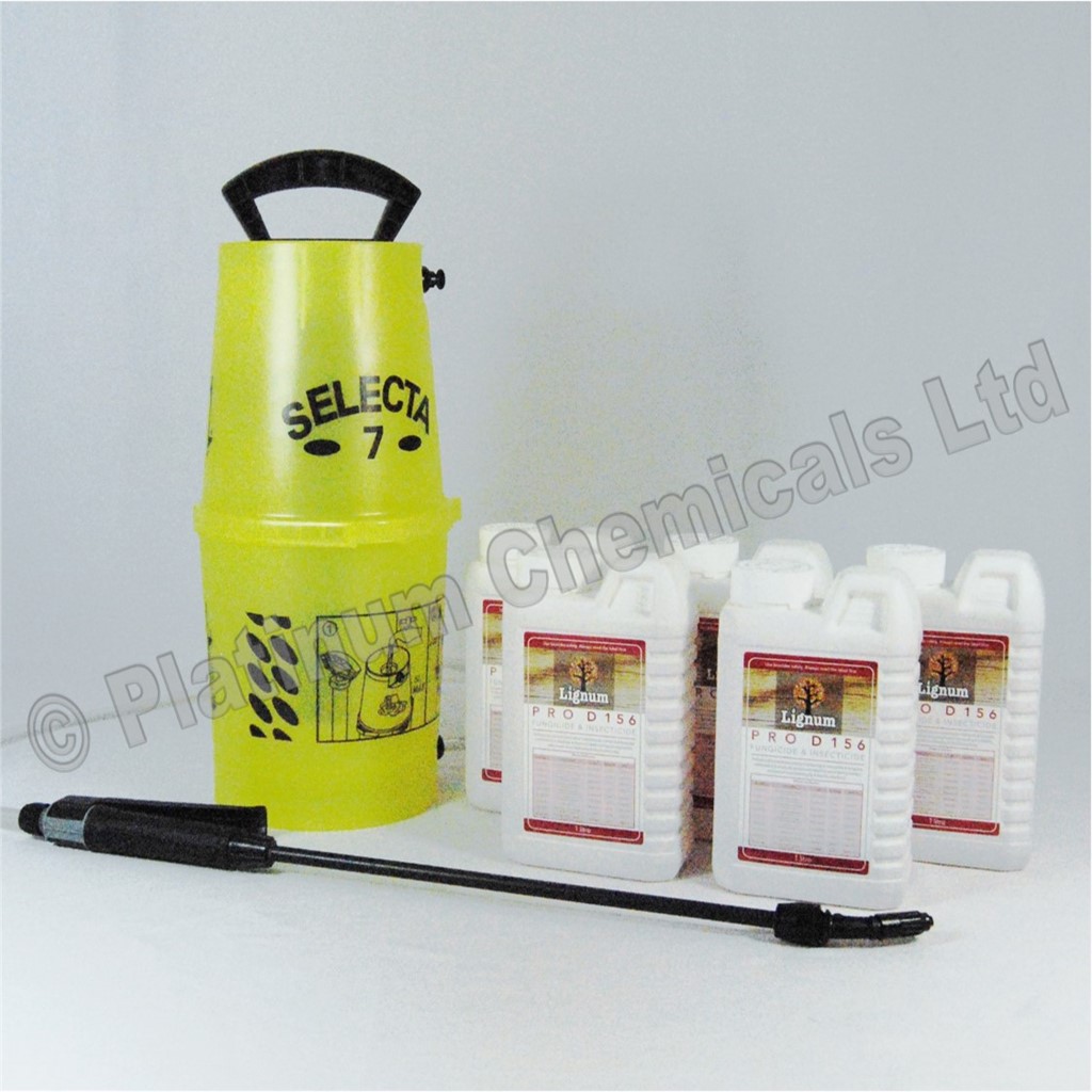 LIGNUM PRO D156 WOODWORM & DRY ROT KILLER WOOD TREATMENT 5L SPRAY KIT
