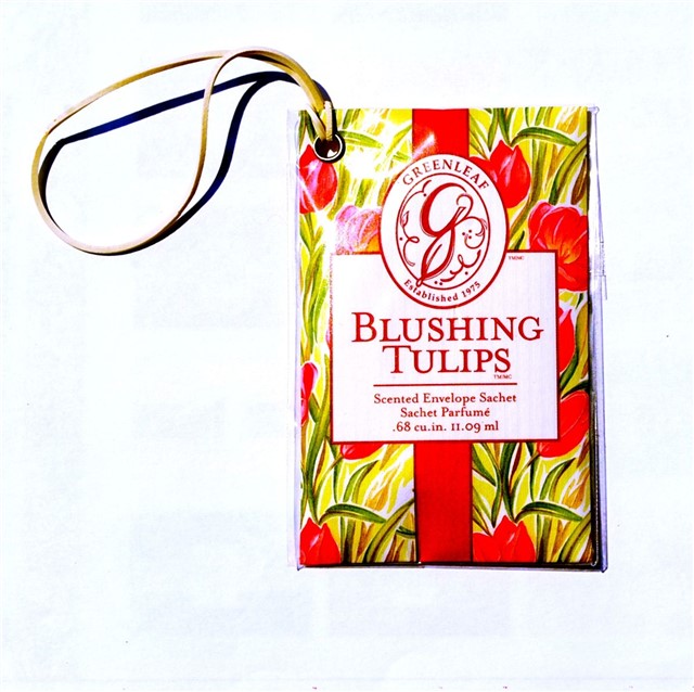 Greenleaf Scented Envelope Car Sachets eBay