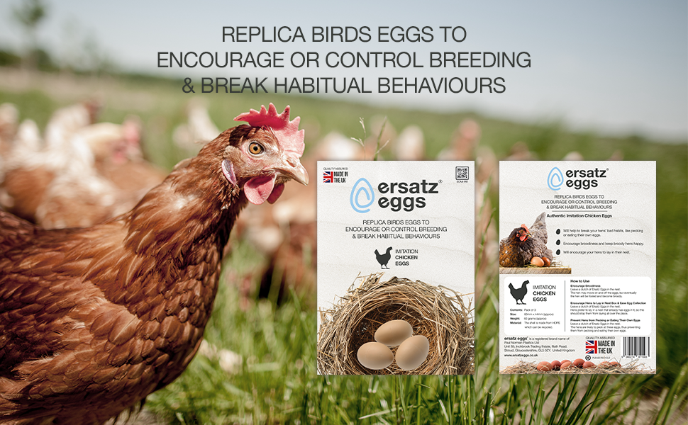 replica birds eggs