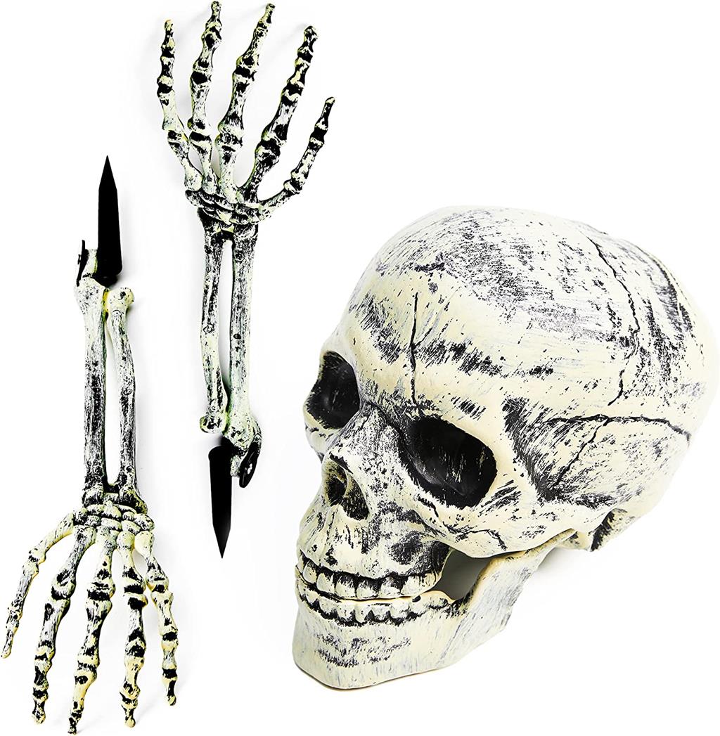 Skull Pattern Fishnet Tights, Black Halloween Tights -  Canada