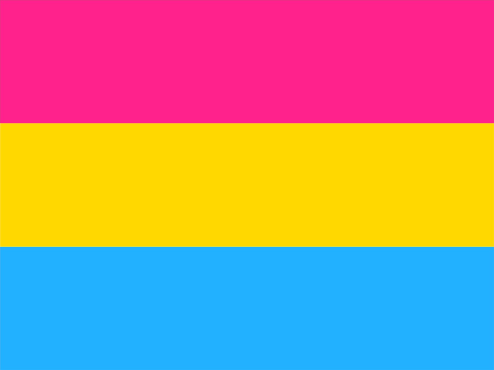 Pansexual Flag Ft X Ft High Quality Flags Rainbow Gay Pride Lgbt