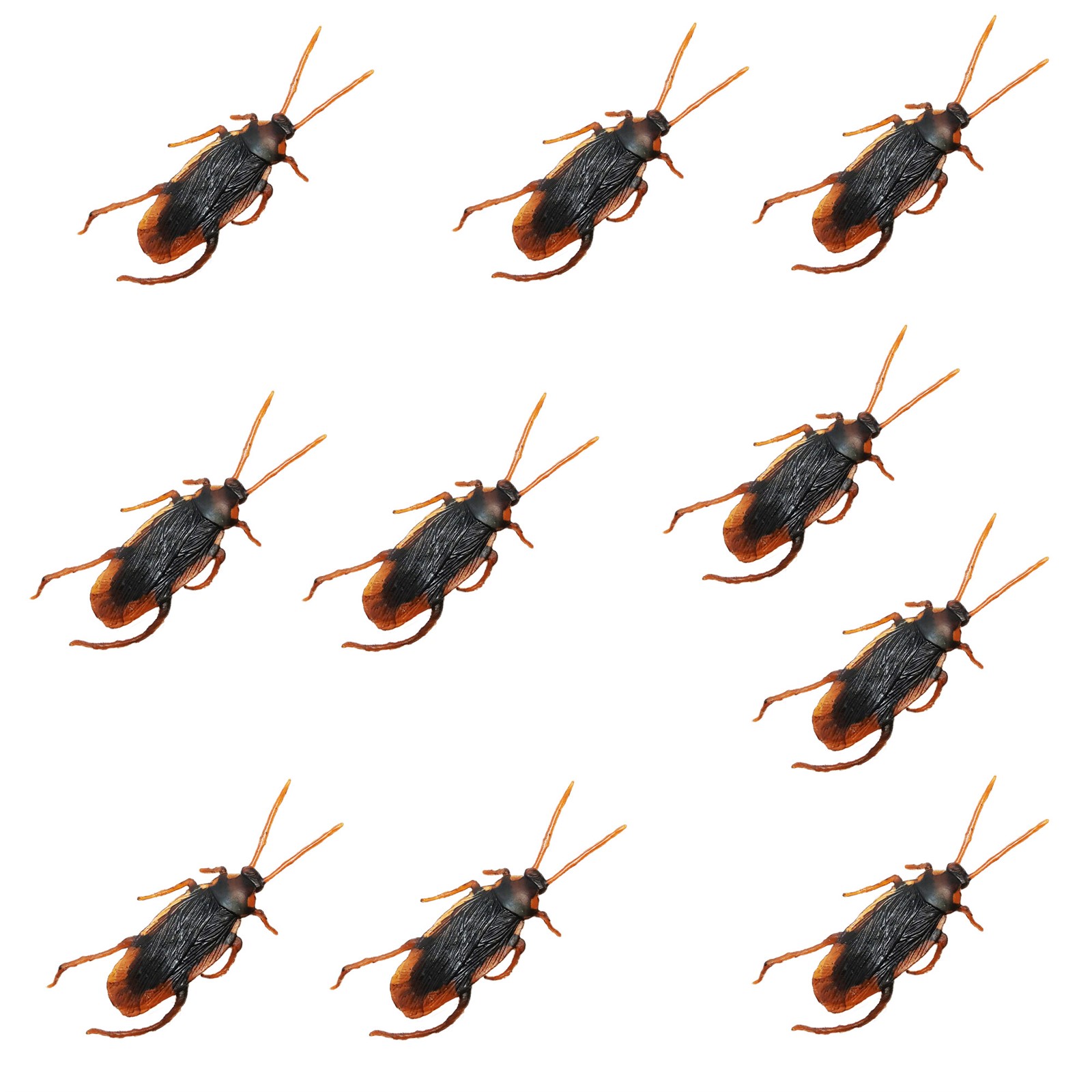10 PACK HALLOWEEN CREEPY COCKROACHES HAUNTED HOUSE PARTY ROOM NOVELTY ...