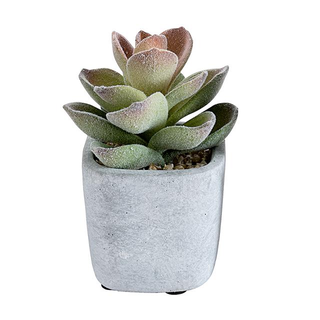 Artificial Potted Cactus Plant in Cement Pot - Cactus ...