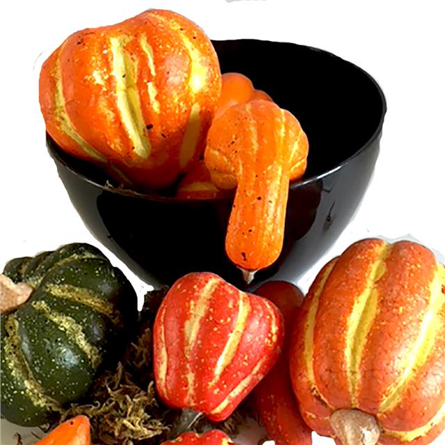 Pumpkin Assortment Mixed In Bag 12 Piece Autumn Halloween