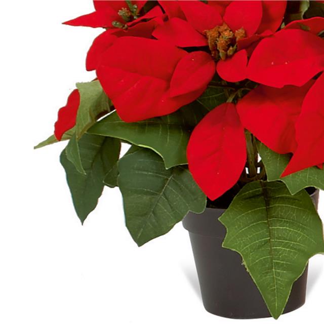 Artificial Potted Poinsettia | Christmas Flowers | Shelf Edge UK