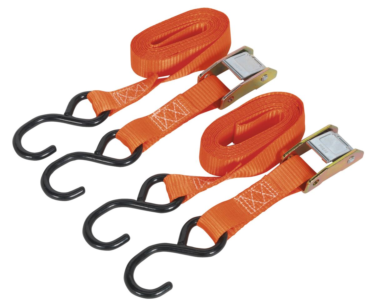 Sealey Cam Buckle Strap 25mm x 2.5m Polyester Webbing with S-Hooks