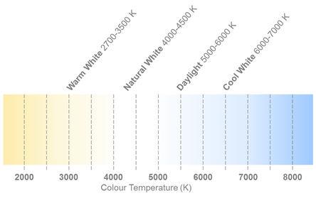 RS-7650494-table.jpg
