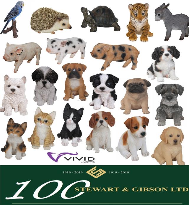 Black Labrador Puppy's Transformation In First Year Is Majestic - Parade Pets