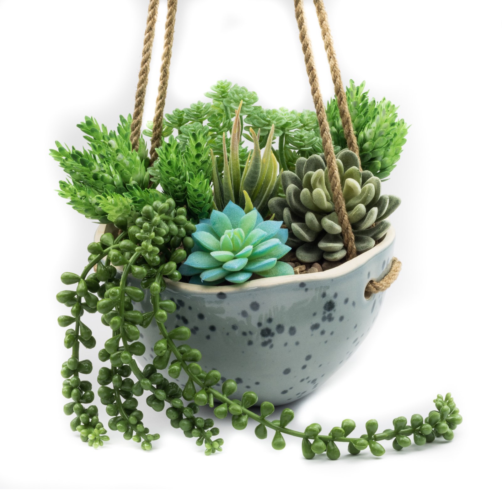 6 x Artificial Plastic Fake Succulents Plants Flowers Sempervivum Faux Set Of 6 eBay