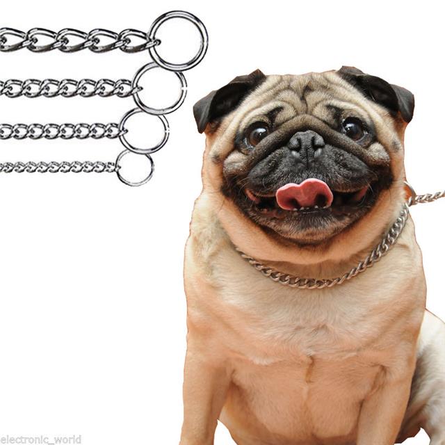 chain for a dog